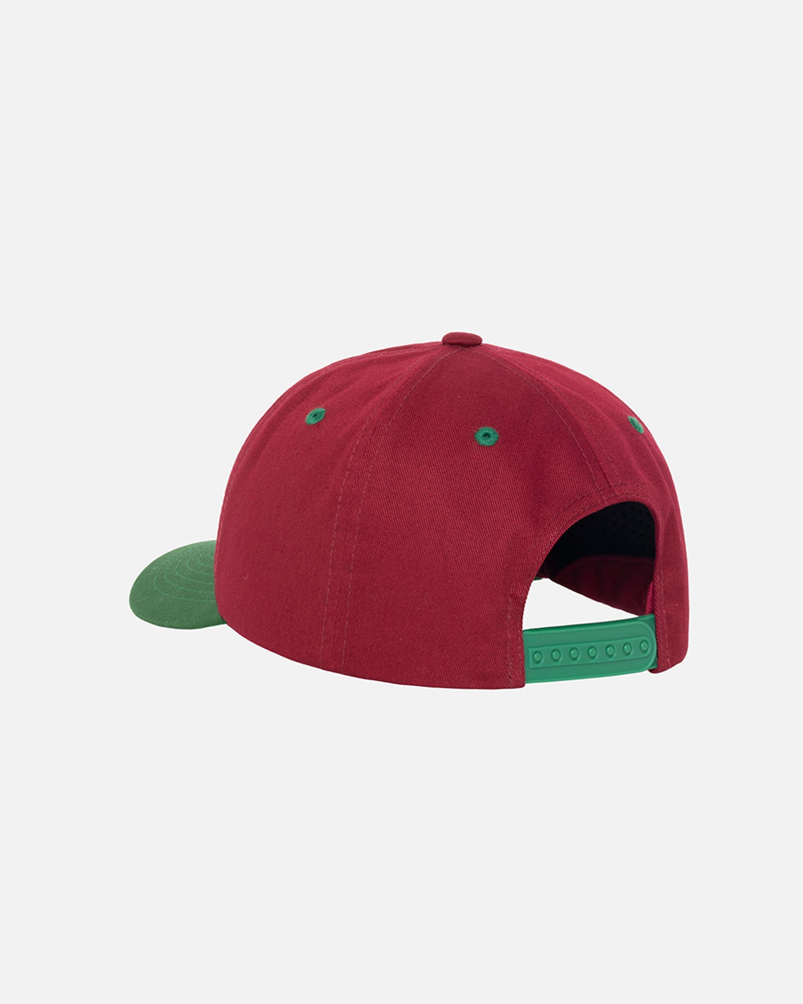 LOW PROFILE BIG BASIC SNAPBACK