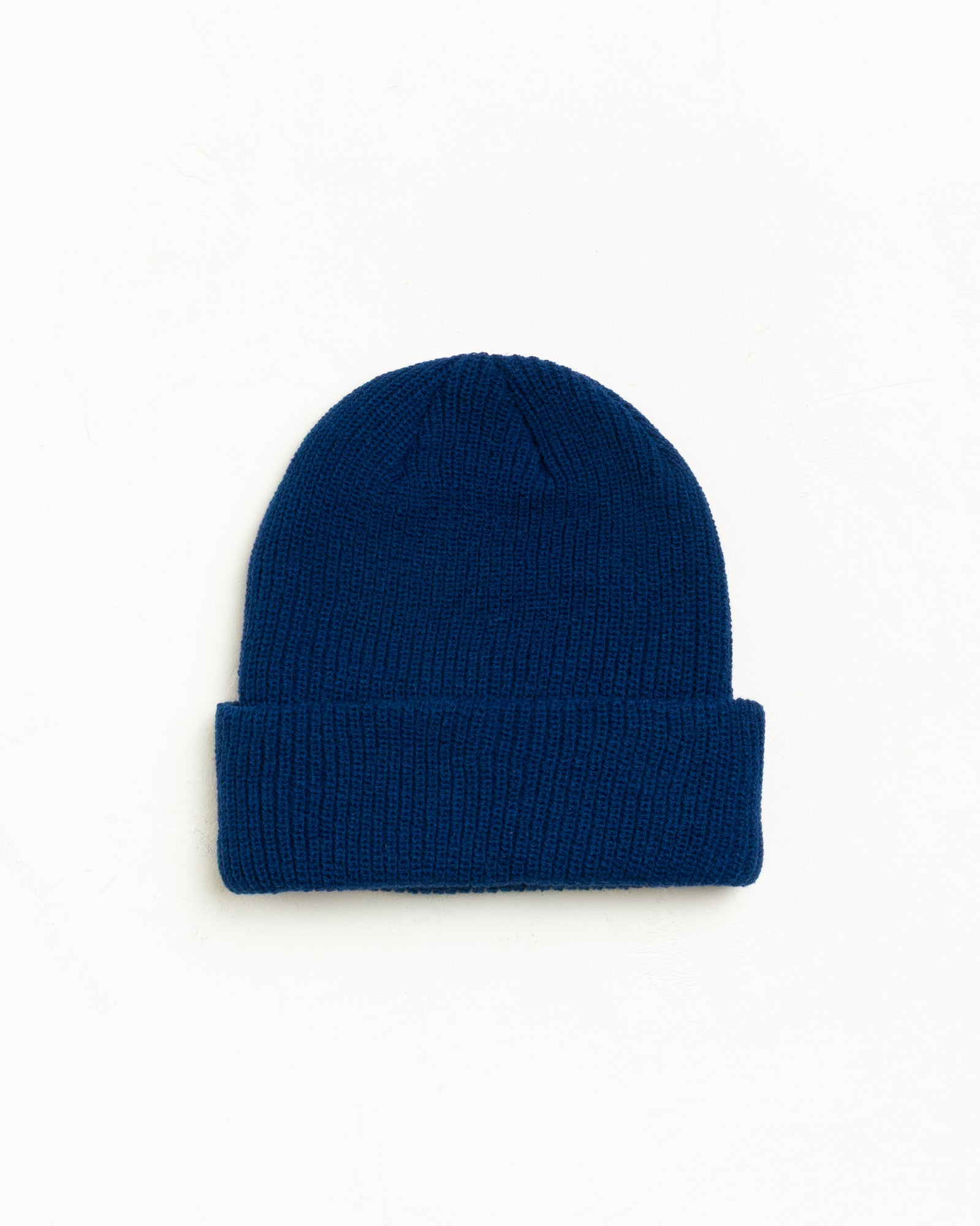 Basic Cuff Beanie Unisex In Blueberry
