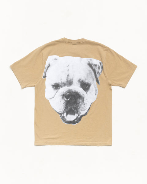 Big Dog Tee Mens Short Sleeve In Khaki