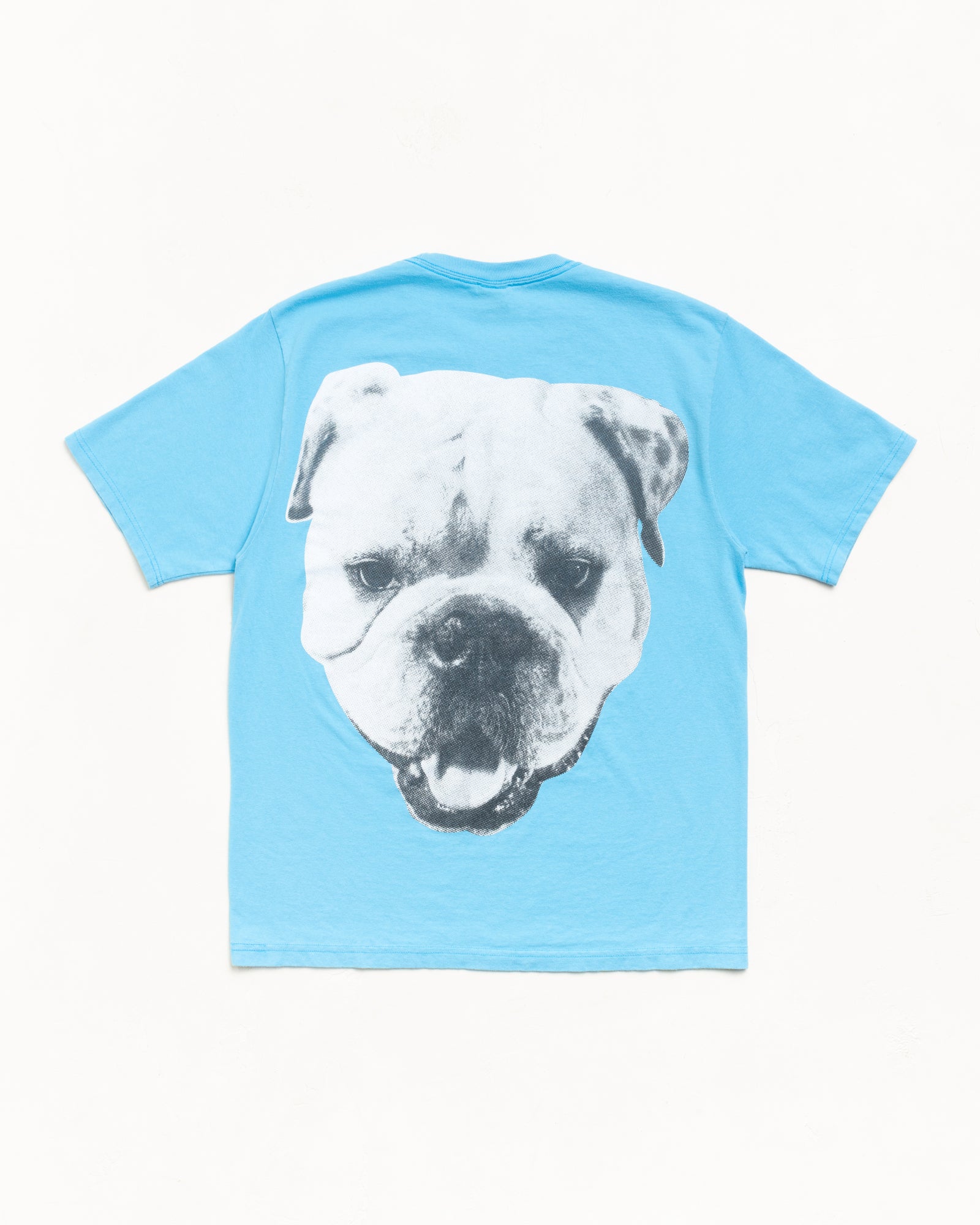 Big Dog Tee Mens Short Sleeve In Sky Blue