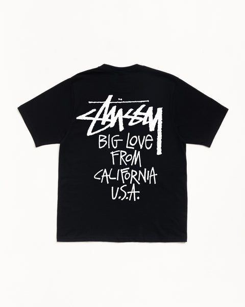 Big Love Tee Mens Short Sleeve in the colour Black
